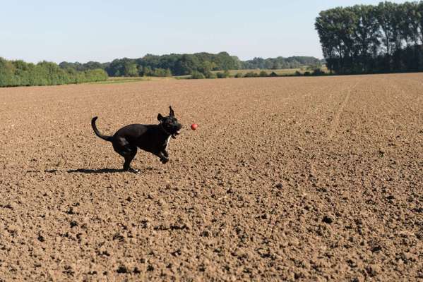 60. Handy Fotochallenge  -gleich schnapp ich es--Beitrag-Bild