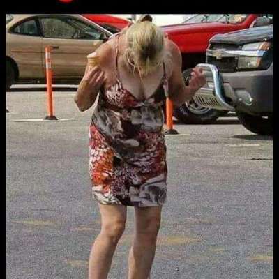 Hunde Memes-Beitrag-Bild