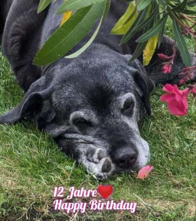 Was hat euch heute gefreut?-Beitrag-Bild