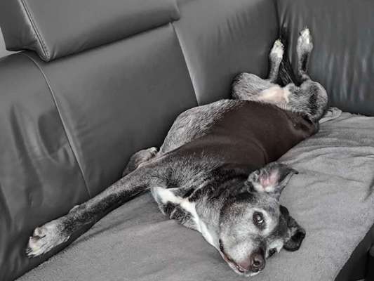 Freddys Kummerkasten-Beitrag-Bild