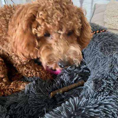 Was hat euch heute gefreut?-Beitrag-Bild