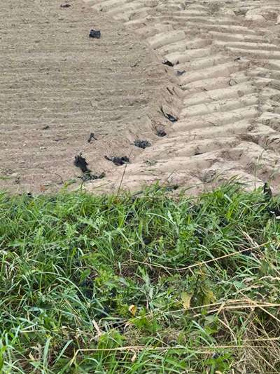 Was hat euch heute genervt?-Beitrag-Bild