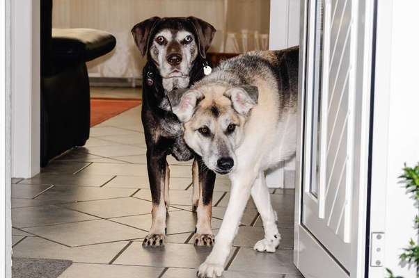 120. Fotochallenge-Beitrag-Bild