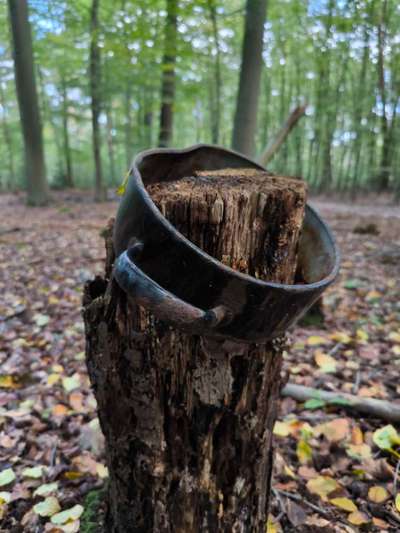 Die besten Gassifunde-Beitrag-Bild