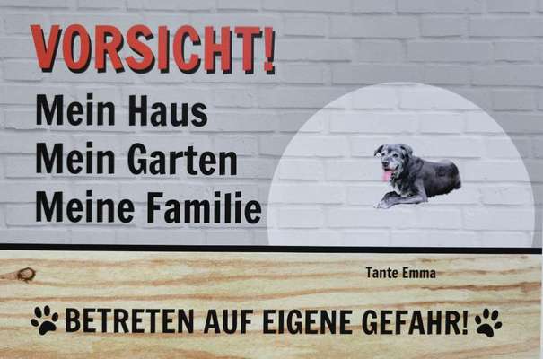 Freddys Kummerkasten-Beitrag-Bild