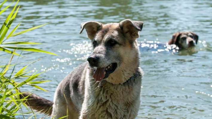 35. Handy Foto Challenge - Das nasse Element-Beitrag-Bild