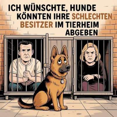 Berührende Hunde Bilder/Videos-Beitrag-Bild