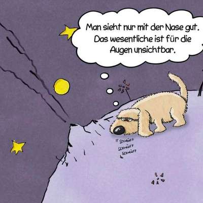 Hunde Memes-Beitrag-Bild