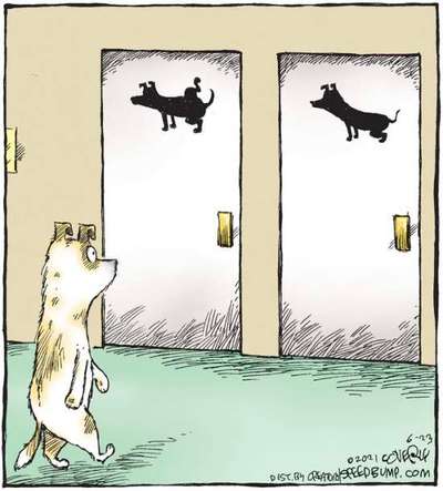 Hunde Memes-Beitrag-Bild