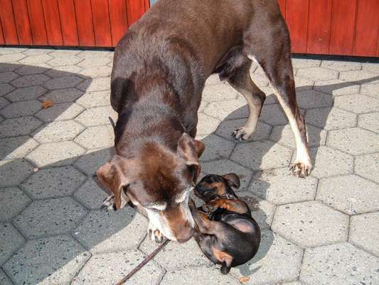 Was hat euch heute genervt?-Beitrag-Bild