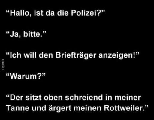 Hunde Memes-Beitrag-Bild