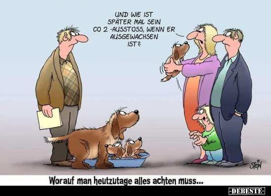 Hunde Memes-Beitrag-Bild