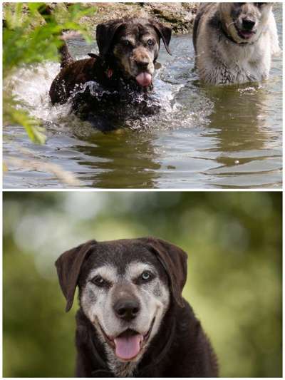 18. Collagen Challenge - Zunge raus!-Beitrag-Bild