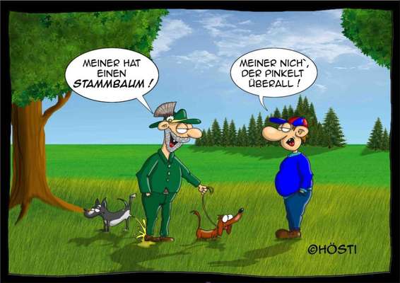 Hunde Memes-Beitrag-Bild