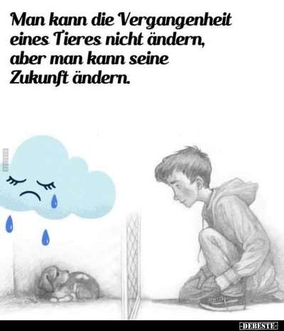 Berührende Hunde Bilder/Videos-Beitrag-Bild