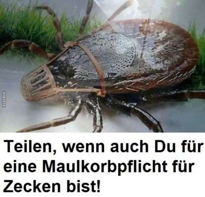 Hunde Memes-Beitrag-Bild