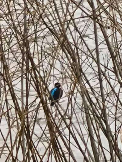 Was hat euch heute gefreut?-Beitrag-Bild