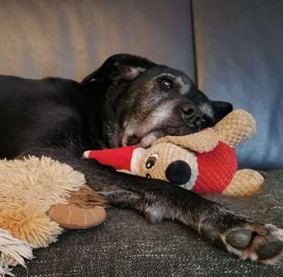 11. Farben Foto Challenge Rot-Beitrag-Bild