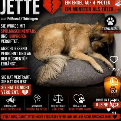 Was hat euch heute genervt?-Beitrag-Bild