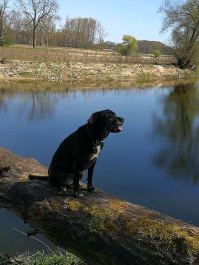 10. Farben Foto-Challenge ---- Blau-Beitrag-Bild