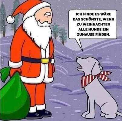 Berührende Hunde Bilder/Videos-Beitrag-Bild