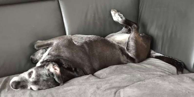 Freddys Kummerkasten-Beitrag-Bild