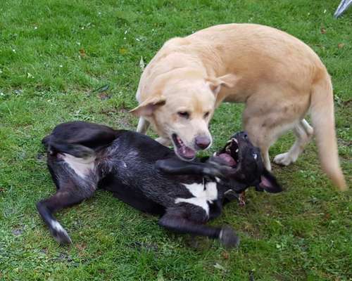 Was hat euch heute genervt?-Beitrag-Bild