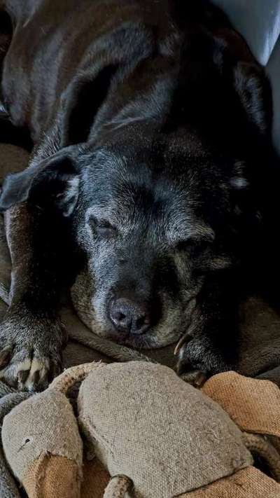 Ton in Ton-Beitrag-Bild