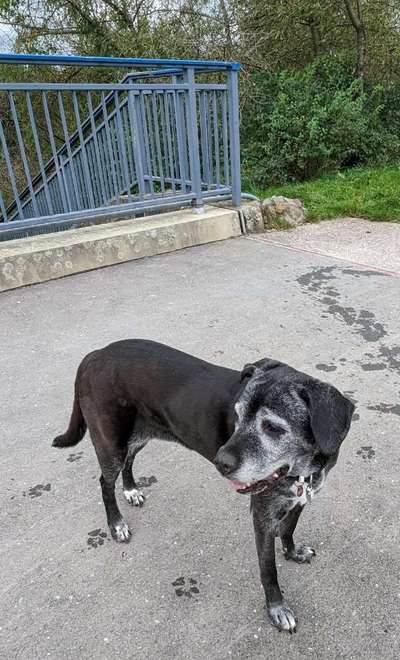 Foto Challenge Thema "Brücke"-Beitrag-Bild