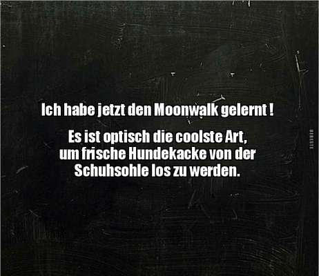 Hunde Memes-Beitrag-Bild