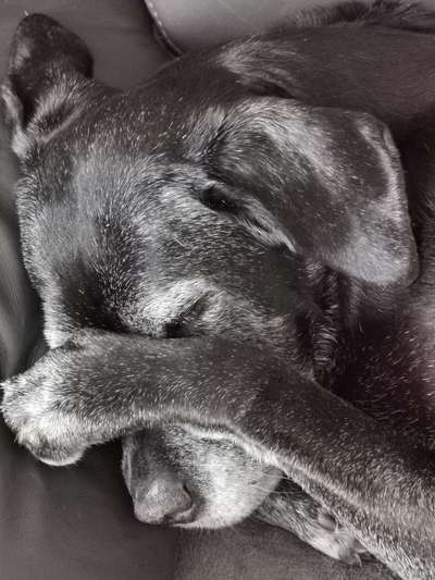 Foto Challenge Nr. 134-Beitrag-Bild