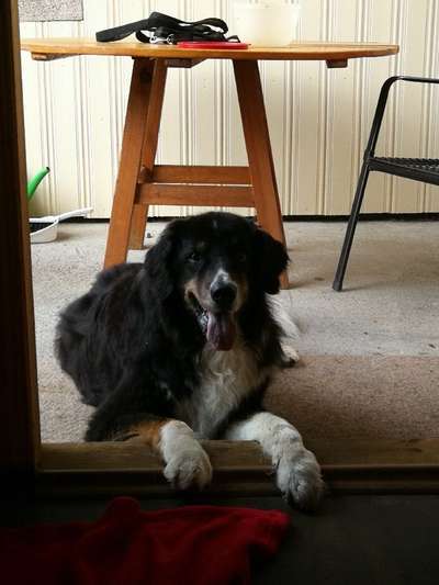 Fotochallenge Nr. 56 - geliebte Senioren-Beitrag-Bild