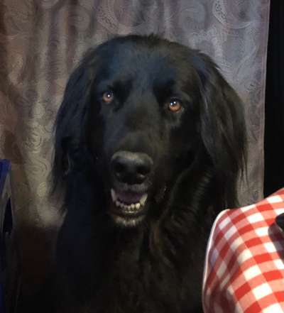 Fotochallange Nr. 57     PORTRÄT.   Beendet!!!!!!!!-Beitrag-Bild