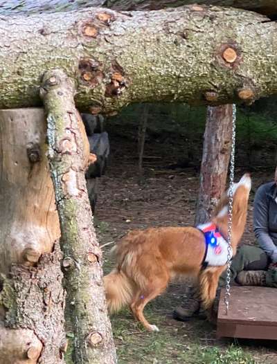 Hoopers unser Sport-Beitrag-Bild