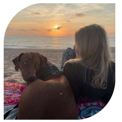 Hundetreffen-Sonntag-Morgen Gassirunden