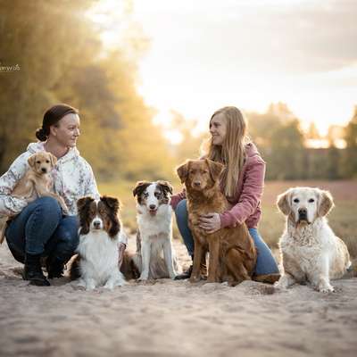 Hundeschulen-Hundeschule Pfalzfelle-Bild