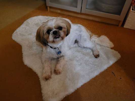 Fotochallenge Nr. 67: Euer Lieblingsbild-Beitrag-Bild