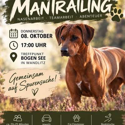 Hundetreffen-Mantrailing-Bild