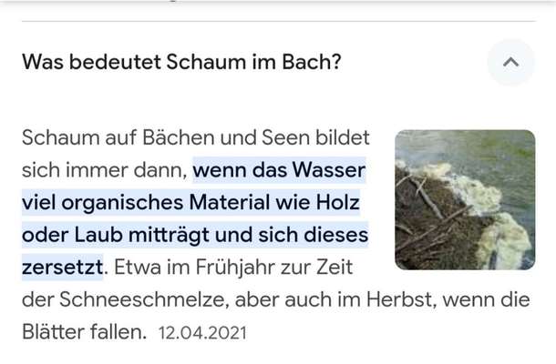 Wasser aus dem Bach getrunken-Beitrag-Bild