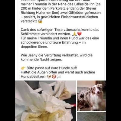 Giftköder-Giftköder !-Bild