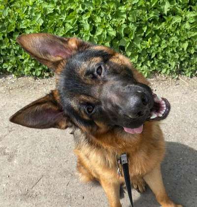 Fotochallenge 37- Sommerfeeling-Beitrag-Bild