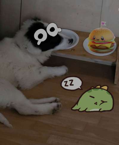 Fotochallenge 124 - Dein Comic-Hund-Beitrag-Bild