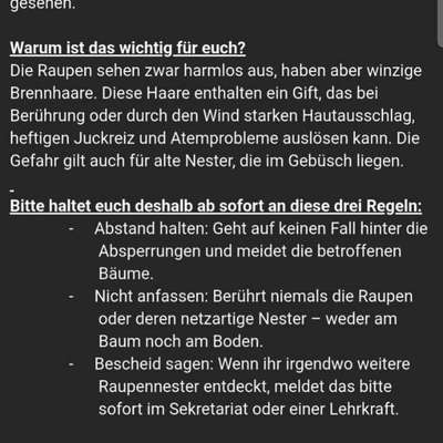 Giftköder-Eichenprozessionsspinner-Bild