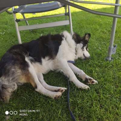 CHALLENGE NR. 34 - Liege-/Schlafpositionen-Beitrag-Bild