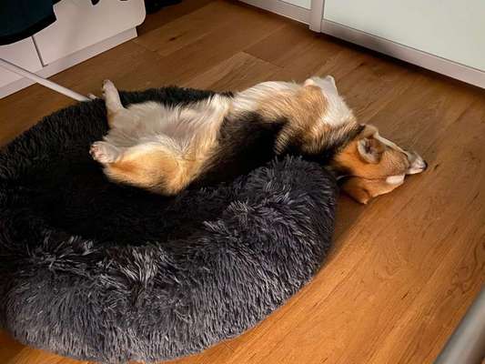 Die unbequemsten und lustigsten Schlafpositionen-Beitrag-Bild