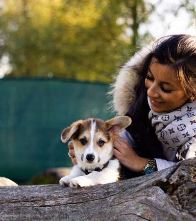 Welpen Bilder !-Beitrag-Bild