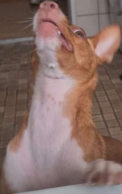 Her mit dem Grimassen-Beitrag-Bild