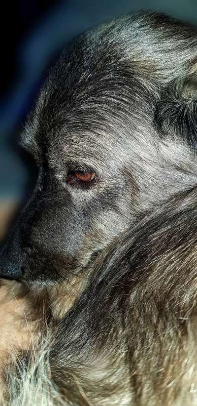 Lieblingsbild :D-Beitrag-Bild