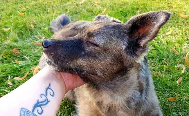 FOTOCHALLENGE NR.54-,,Liebesbeweis"-Beitrag-Bild