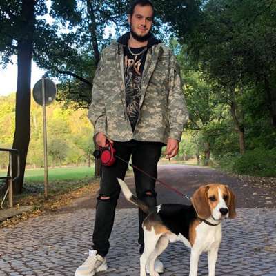 Hundetreffen-Zum Spielen/ Spaziergang in Nordhausen-Profilbild